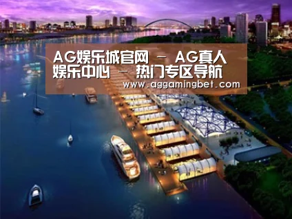 案例展示八